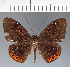 ( - CFC04743)  @11 [ ] copyright (2022) Center For Collection-Based Research Center For Collection-Based Research