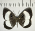  ( - CFC04909)  @11 [ ] Copyright (2018) Christer Fahraeus Center For Collection-Based Research