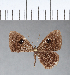  ( - CFC04953)  @11 [ ] Copyright (2018) Christer Fahraeus Center For Collection-Based Research