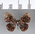  ( - CFC04972)  @11 [ ] Copyright (2018) Christer Fahraeus Center For Collection-Based Research