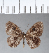  ( - CFC04973)  @11 [ ] Copyright (2018) Christer Fahraeus Center For Collection-Based Research