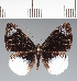  ( - CFC04994)  @11 [ ] copyright (2022) Center For Collection-Based Research Center For Collection-Based Research