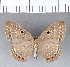  ( - CFC05016)  @13 [ ] Copyright (2018) Christer Fahraeus Center For Collection-Based Research