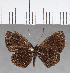  ( - CFC05045)  @11 [ ] Copyright (2018) Christer Fahraeus Center For Collection-Based Research