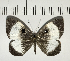  ( - CFC05063)  @11 [ ] Copyright (2018) Christer Fahraeus Center For Collection-Based Research