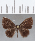  ( - CFC05132)  @11 [ ] Copyright (2019) Christer Fahraeus Center For Collection-Based Research