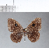  ( - CFC05256)  @11 [ ] Copyright (2018) Christer Fahraeus Center For Collection-Based Research