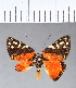  ( - CFC05284)  @11 [ ] Copyright (2018) Christer Fahraeus Center For Collection-Based Research