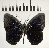  ( - CFC05288)  @11 [ ] Copyright (2018) Christer Fahraeus Center For Collection-Based Research