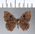  ( - CFC05290)  @11 [ ] Copyright (2018) Christer Fahraeus Center For Collection-Based Research