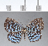  ( - CFC05293)  @11 [ ] Copyright (2018) Christer Fahraeus Center For Collection-Based Research