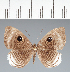  ( - CFC05305)  @11 [ ] copyright (2022) Center For Collection-Based Research Center For Collection-Based Research