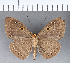  ( - CFC05368)  @11 [ ] Copyright (2018) Christer Fahraeus Center For Collection-Based Research