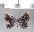  ( - CFC05393)  @12 [ ] Copyright (2018) Christer Fahraeus Center For Collection-Based Research