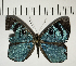  ( - CFC05404)  @11 [ ] Copyright (2018) Christer Fahraeus Center For Collection-Based Research
