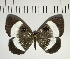  ( - CFC05405)  @11 [ ] Copyright (2018) Christer Fahraeus Center For Collection-Based Research