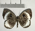  ( - CFC05411)  @11 [ ] Copyright (2018) Christer Fahraeus Center For Collection-Based Research