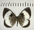  ( - CFC05427)  @11 [ ] Copyright (2018) Christer Fahraeus Center For Collection-Based Research