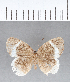  ( - CFC05469)  @11 [ ] Copyright (2018) Christer Fahraeus Center For Collection-Based Research