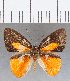  ( - CFC05482)  @11 [ ] Copyright (2019) Christer Fahraeus Center For Collection-Based Research