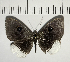  ( - CFC05599)  @11 [ ] Copyright (2018) Christer Fahraeus Center For Collection-Based Research
