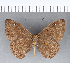  ( - CFC05610)  @11 [ ] Copyright (2018) Christer Fahraeus Center For Collection-Based Research