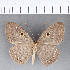  ( - CFC05623)  @11 [ ] Copyright (2018) Christer Fahraeus Center For Collection-Based Research