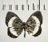  ( - CFC05751)  @11 [ ] Copyright (2018) Christer Fahraeus Center For Collection-Based Research