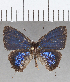  ( - CFC00579)  @11 [ ] Copyright (2020) Christer Fahraeus Center For Collection-Based Research
