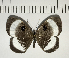  ( - CFC05858)  @11 [ ] Copyright (2018) Christer Fahraeus Center For Collection-Based Research
