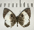  ( - CFC05861)  @11 [ ] Copyright (2018) Christer Fahraeus Center For Collection-Based Research