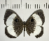  ( - CFC06031)  @11 [ ] Copyright (2018) Christer Fahraeus Center For Collection-Based Research