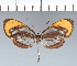  ( - CFC06198)  @11 [ ] copyright (2022) Center For Collection-Based Research Center For Collection-Based Research