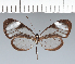  ( - CFC06237)  @11 [ ] copyright (2022) Center For Collection-Based Research Center For Collection-Based Research