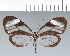  ( - CFC06245)  @11 [ ] copyright (2022) Center For Collection-Based Research Center For Collection-Based Research