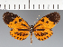 ( - CFC06322)  @11 [ ] copyright (2023) Center For Collection-Based Research Center For Collection-Based Research