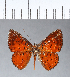  ( - CFC06759)  @11 [ ] Copyright (2018) Christer Fahraeus Center For Collection-Based Research