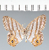  ( - CFC06802)  @11 [ ] copyright (2022) Center For Collection-Based Research Center For Collection-Based Research