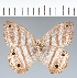  ( - CFC06808)  @11 [ ] copyright (2022) Center For Collection-Based Research Center For Collection-Based Research