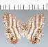  ( - CFC06815)  @11 [ ] copyright (2022) Center For Collection-Based Research Center For Collection-Based Research