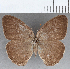  ( - CFC06825)  @11 [ ] copyright (2020) Christer Fahraeus Center For Collection-Based Research