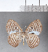  ( - CFC06850)  @11 [ ] Copyright (2018) Christer Fahraeus Center For Collection-Based Research