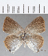  ( - CFC06860)  @11 [ ] Copyright (2019) Christer Fahraeus Center For Collection-Based Research