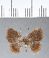  ( - CFC07039_2)  @11 [ ] Copyright (2019) Christer Fahraeus Center For Collection-Based Research