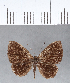  ( - CFC07040)  @11 [ ] Copyright (2018) Christer Fahraeus Center For Collection-Based Research