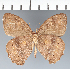  ( - CFC07114)  @11 [ ] copyright (2022) Center For Collection-Based Research Center For Collection-Based Research