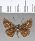  ( - CFC07233)  @11 [ ] Copyright (2018) Christer Fahraeus Center For Collection-Based Research