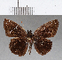  ( - CFC07271)  @12 [ ] Copyright (2018) Christer Fahraeus Center For Collection-Based Research