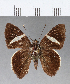  ( - CFC07294)  @11 [ ] Copyright (2018) Christer Fahraeus Center For Collection-Based Research