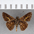  ( - CFC07315)  @11 [ ] Copyright (2018) Christer Fahraeus Center For Collection-Based Research